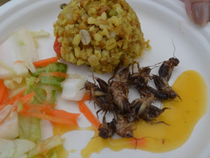 Garden Food Festival se vydařil, překonal i návštěvnost z minulého roku