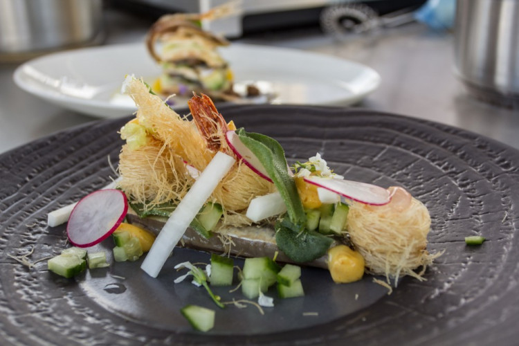 Foto: Jan Procházka