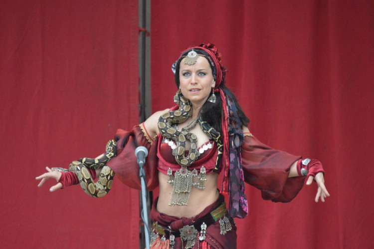 FOTOGALERIE: Na Helfštýně řinčí meče, koná se tam Festival vojenské historie