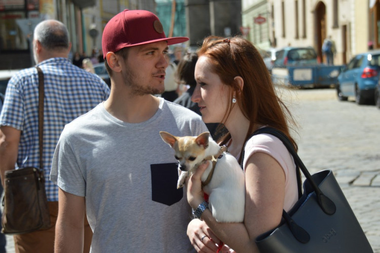 FOTOGALERIE: Prvnotřídní káva za krásného dne. V Olomouci se podruhé konal Den kávy