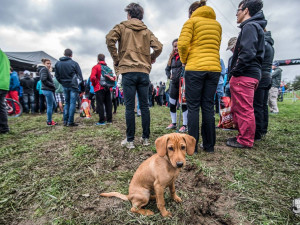 FOTOGALERIE: Letošnímu Bobr Cupu přálo počasí. Zúčastnilo se ho 230 týmů a 10 jednotlivců