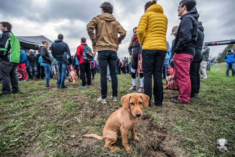 FOTOGALERIE: Letošnímu Bobr Cupu přálo počasí. Zúčastnilo se ho 230 týmů a 10 jednotlivců