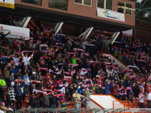 FOTOGALERIE: Kohouti přehráli doma tygry z Liberce 4:1, krásnými góly se zaskvěli Laš a Burian