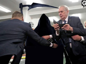 FOTOGALERIE: Zeman a aktivistka. To nejlepší z řádění internetových vtipálků