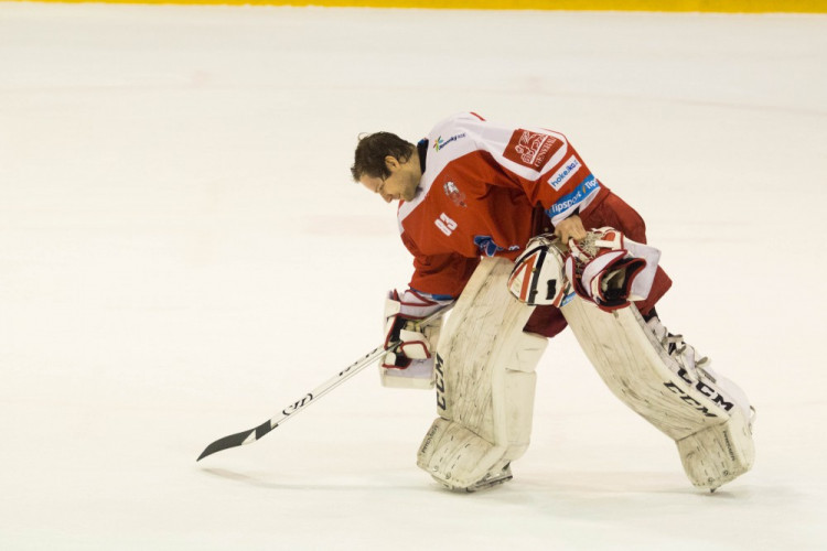 Kohouti po delší době vyhráli doma, Litvínov porazili 4:2