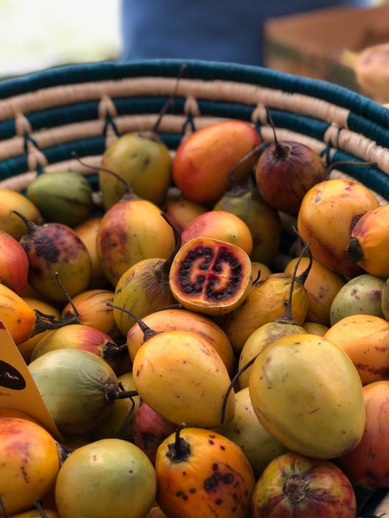 Jackfruit, baby banány nebo drink z cukrové křtiny. Olomoučané v neděli ochutnávali Afriku