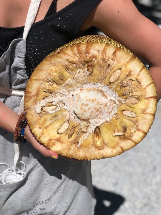 Jackfruit, baby banány nebo drink z cukrové křtiny. Olomoučané v neděli ochutnávali Afriku