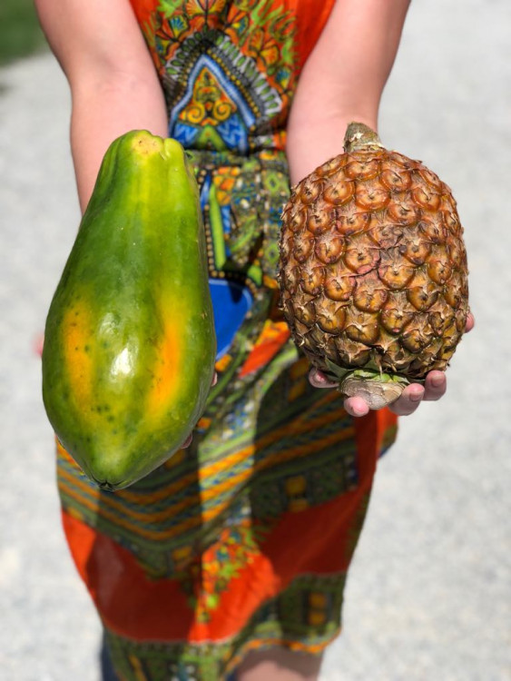 Jackfruit, baby banány nebo drink z cukrové křtiny. Olomoučané v neděli ochutnávali Afriku