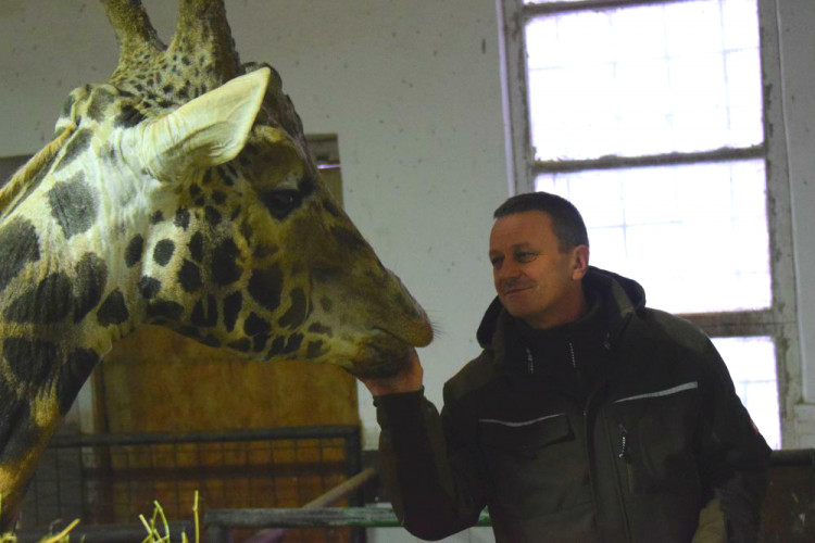 Den s ošetřovatelem: Zoo má dvě tváře. Zvířata se chovají jinak, když i my jdeme domů