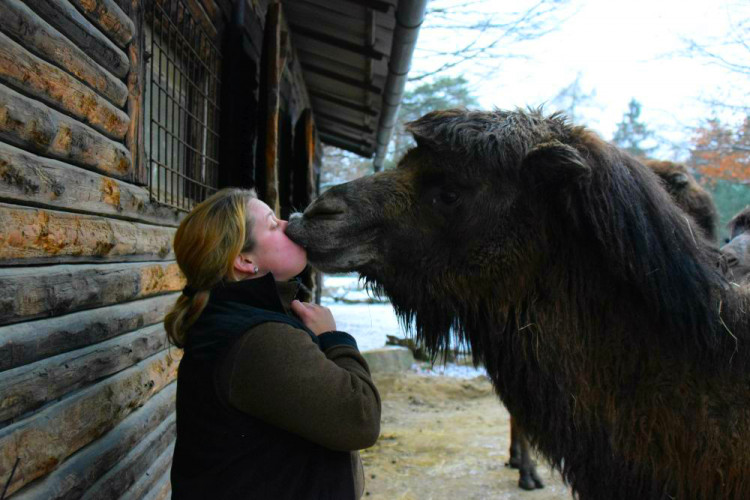 Den s ošetřovatelem: Zoo má dvě tváře. Zvířata se chovají jinak, když i my jdeme domů