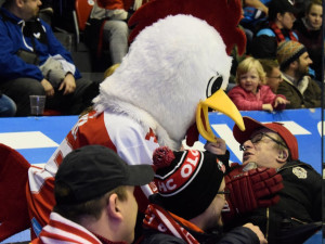 FOTOGALERIE: Kohouti to zvládli! S Plzní doma vyrovnali sérii na 3:3