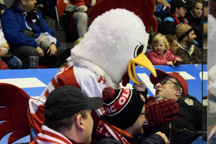 FOTOGALERIE: Kohouti to zvládli! S Plzní doma vyrovnali sérii na 3:3