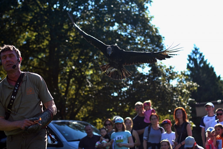 FOTOGALERIE: V parku se konal pátý ročník charitativní akce Jeden běh nestačí. Podívejte se na fotky!