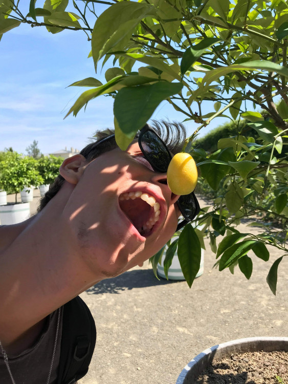 Letní soutěž o plecháček. Hlasujte!