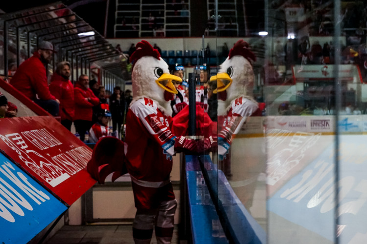 FOTOGALERIE: Hokejisté Olomouce si zajistili konečné sedmé místo v tabulce
