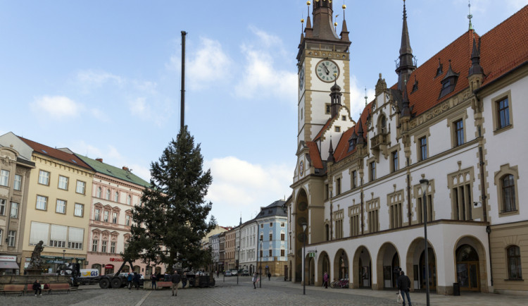 Zase za rok. Vánoční strom už v centru Olomouce nestojí, kmen zpracují řezbáři