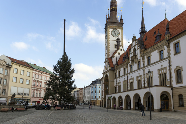 Zase za rok. Vánoční strom už v centru Olomouce nestojí, kmen zpracují řezbáři