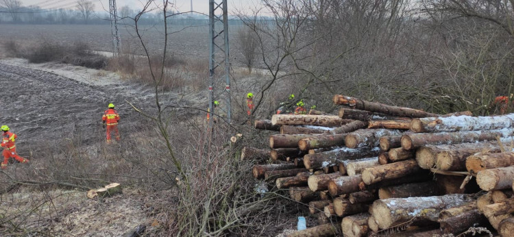 FOTOGALERIE: Srážka dvou nákladních vlaků v Prosenicích