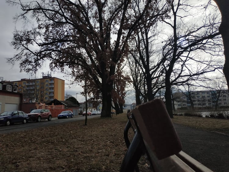 Stoletá dubová alej u rybníka v Drozdovicích