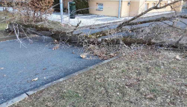 Silný vítr zaměstnal hasiče