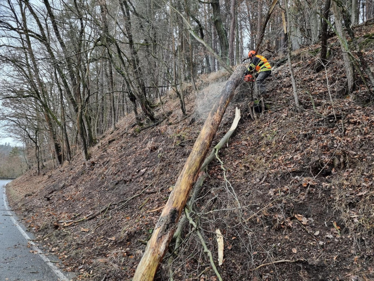 FOTOGALERIE: Silný vítr zaměstnal hasiče