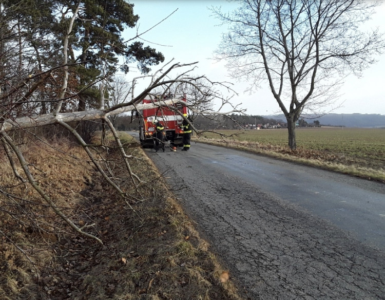 FOTOGALERIE: Silný vítr zaměstnal hasiče