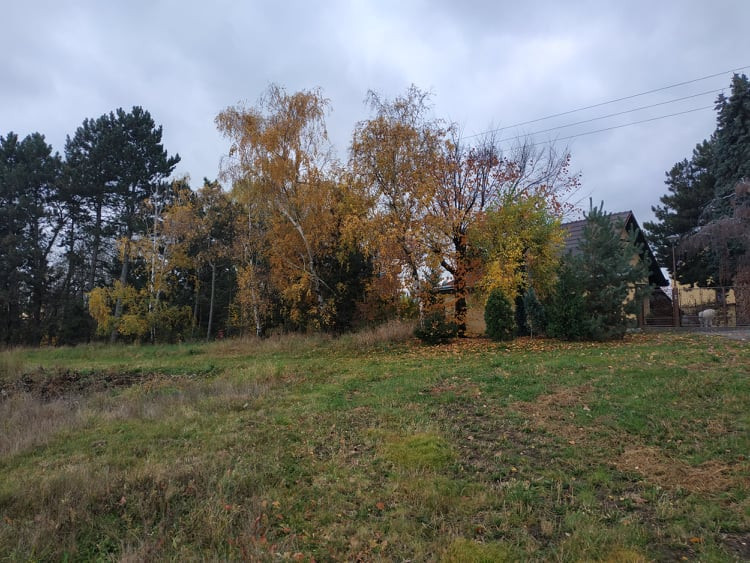 FOTOGALERIE: Kudy povede dálnice D1 v Dluhonicích