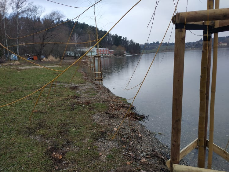 FOTOGALERIE: Nové vrby na Plumlovské přehradě