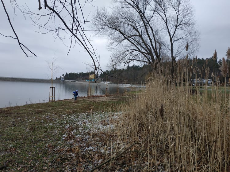 FOTOGALERIE: Nové vrby na Plumlovské přehradě