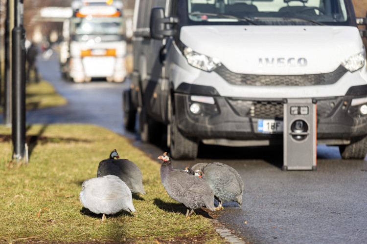 Demontáž ocelové sochy Stvůra z olomouckého parku