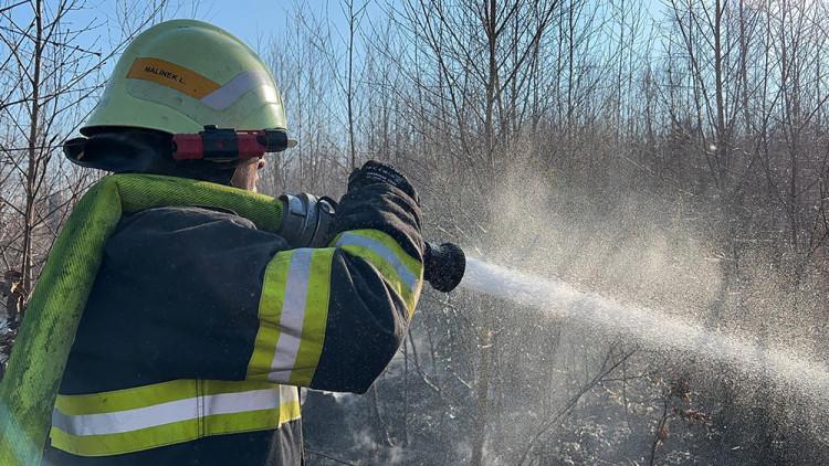 FOTOGALERIE: Lesní požár u Jívové