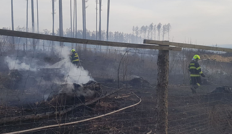 FOTOGALERIE: Rozsáhlý požár lesa u Kozlova na Olomoucku