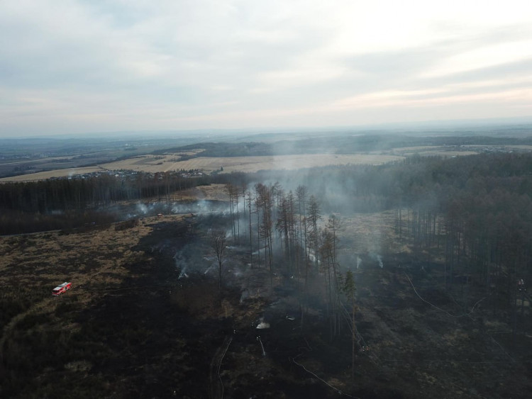 FOTOGALERIE: Rozsáhlý požár lesa u Kozlova na Olomoucku