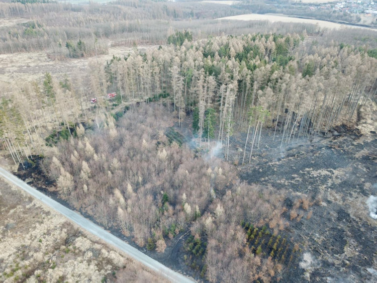 FOTOGALERIE: Rozsáhlý požár lesa u Kozlova na Olomoucku