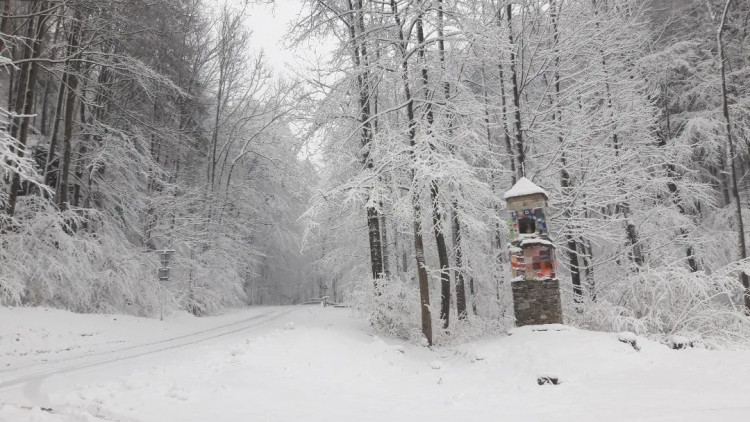 FOTOGALERIE: Aprílové sněžení na severu Olomouckého kraje