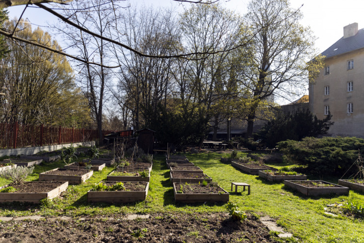 Letní kino v Olomouci prošlo rekonstrukcí. Hlediště ještě čekají úpravy