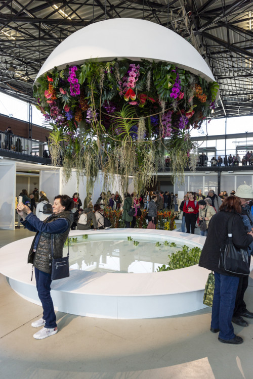 Výstaviště Flora po dvou letech ožilo jarní výstavou