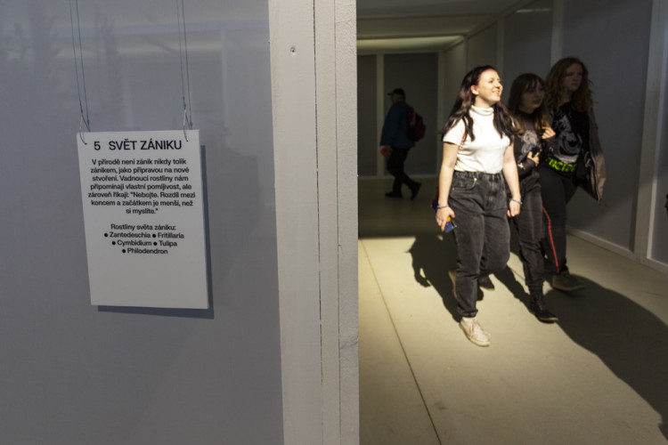 Výstaviště Flora po dvou letech ožilo jarní výstavou