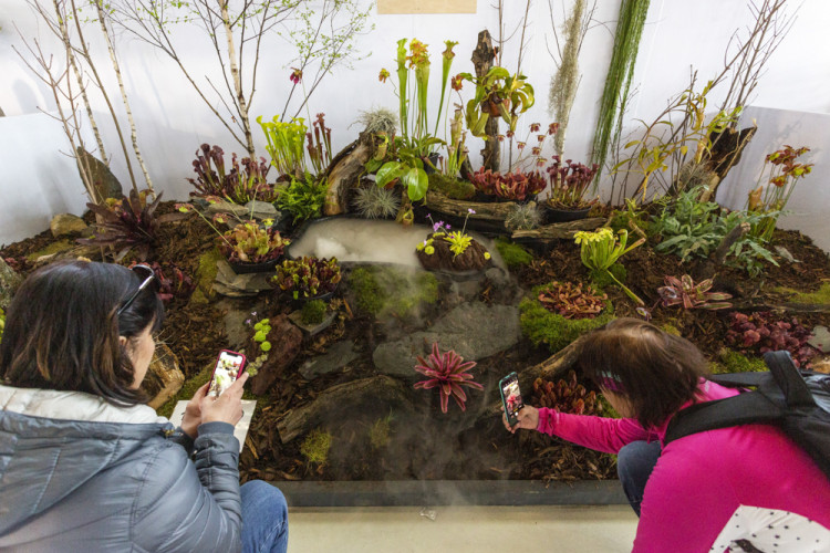 Výstaviště Flora po dvou letech ožilo jarní výstavou