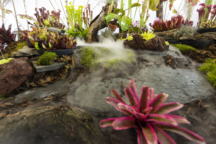 Výstaviště Flora po dvou letech ožilo jarní výstavou