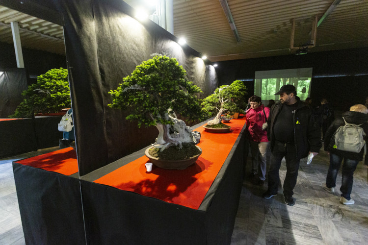 Výstaviště Flora po dvou letech ožilo jarní výstavou