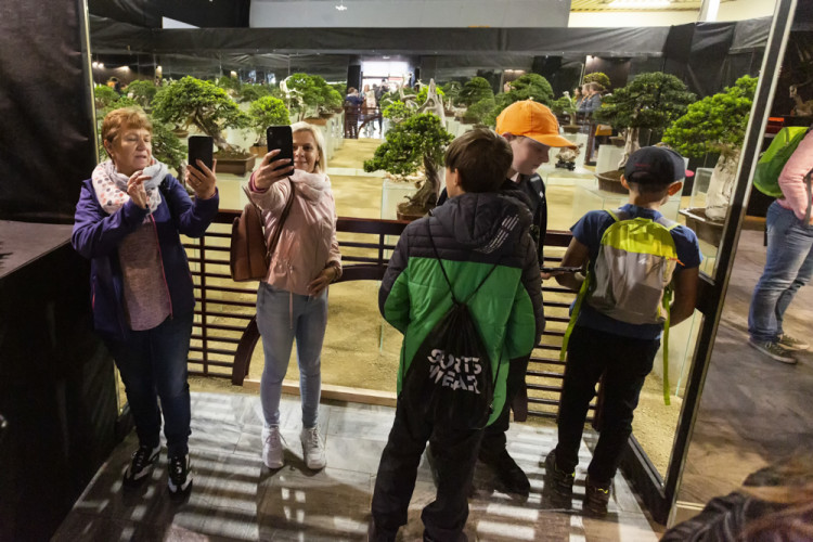 Výstaviště Flora po dvou letech ožilo jarní výstavou