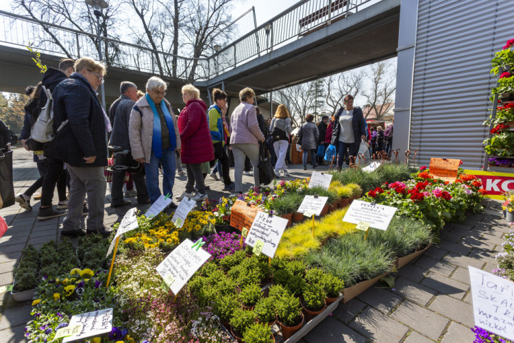 Výstaviště Flora po dvou letech ožilo jarní výstavou
