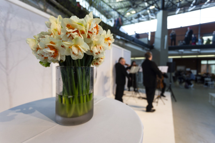 Výstaviště Flora po dvou letech ožilo jarní výstavou