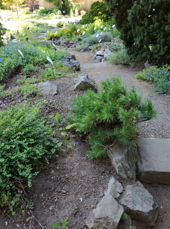 FOTOGALERIE: Botanická zahrada Petra Albrechta v Prostějově