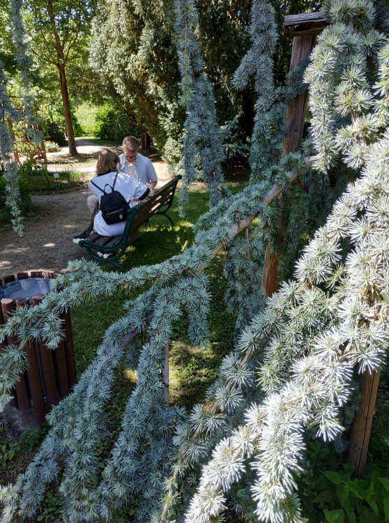 FOTOGALERIE: Botanická zahrada Petra Albrechta v Prostějově