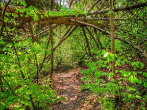 FOTOGALERIE: Malý Rabštýn