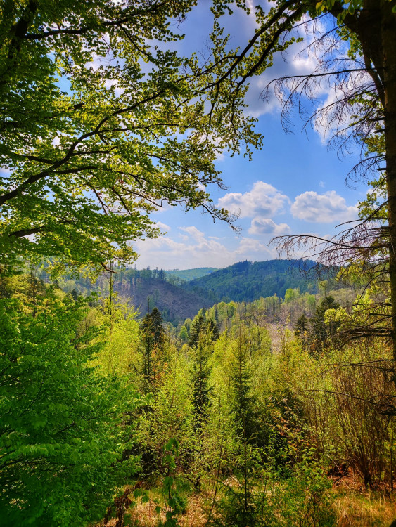 FOTOGALERIE: Malý Rabštýn