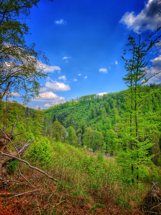 FOTOGALERIE: Malý Rabštýn