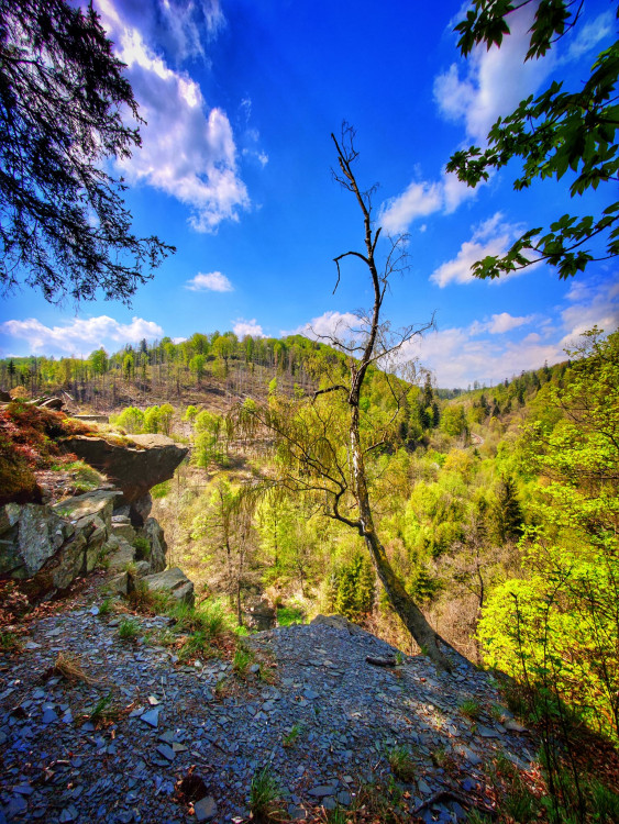 FOTOGALERIE: Malý Rabštýn